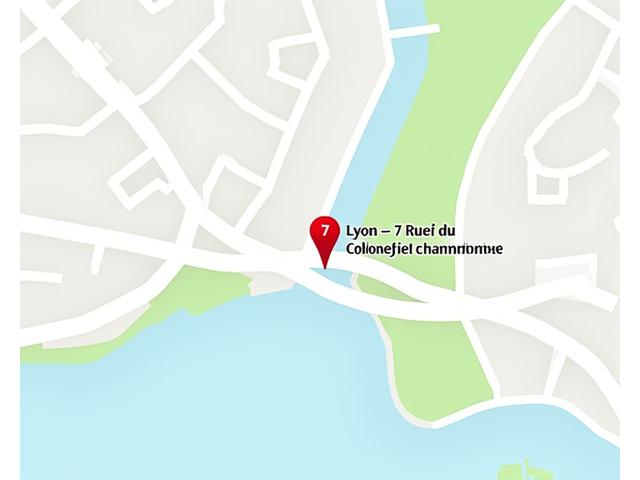 Carte de la localisation de Clarté Sylvestre à Lyon